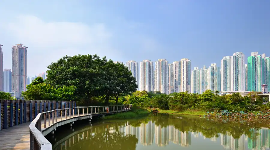 Does Hong Kong have wetlands?